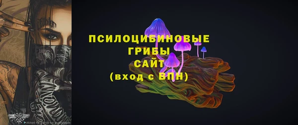 соль ск Алзамай