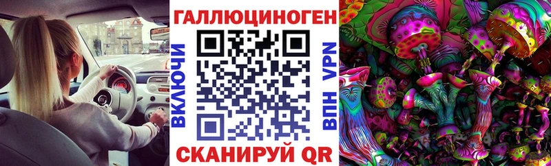 мега онион  Чегем  Галлюциногенные грибы Psilocybine cubensis 